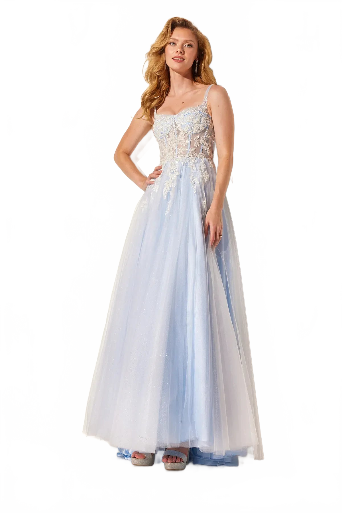 Applique Sleeveless A-line Gown by Lucci Lu 1414