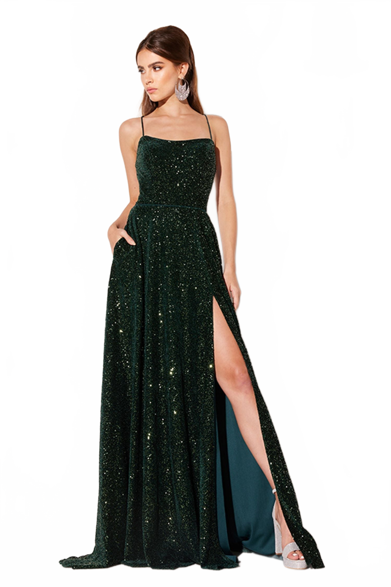 Sequin Velvet Sleeveless A-line Gown by Lucci Lu 1249