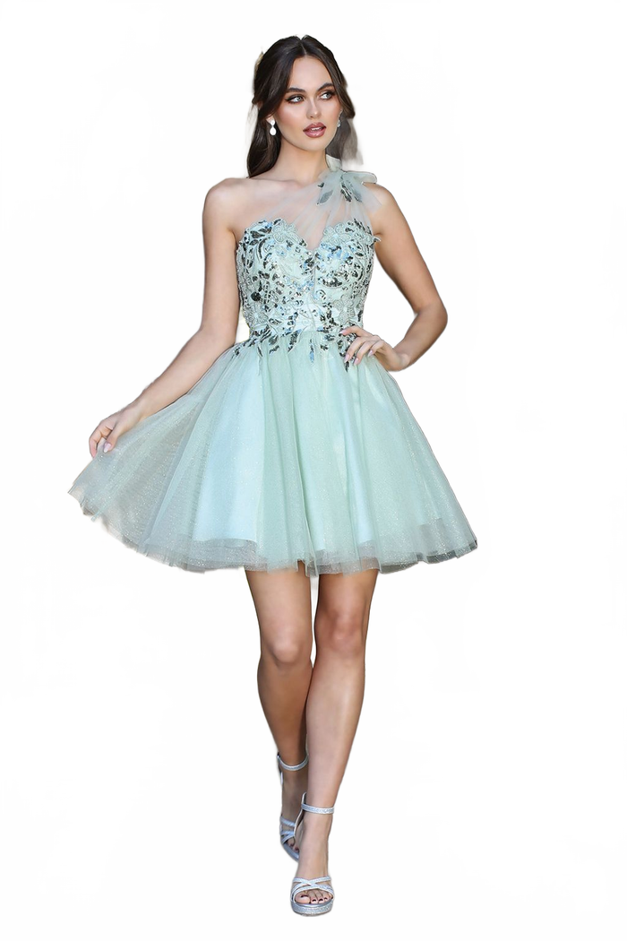 Adora Design 1054 One Shoulder A Line Short Tulle Homecoming Dress