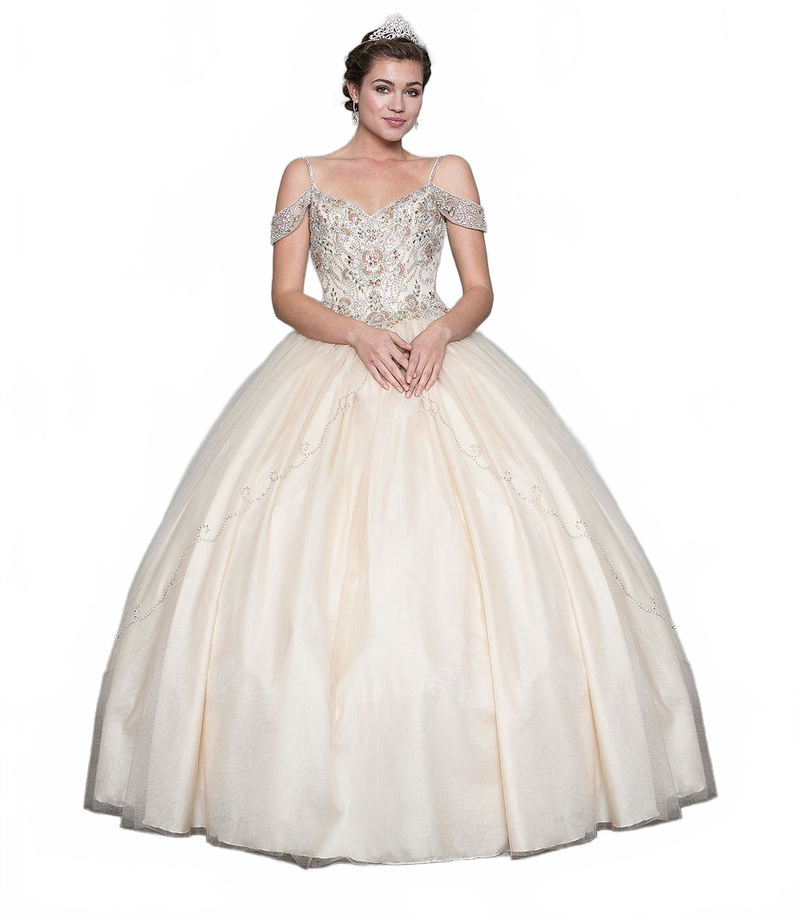 Cold-Shoulder Beaded Quinceañera Dress with A-Line Tulle Skirt by Calla Collection KY-78011