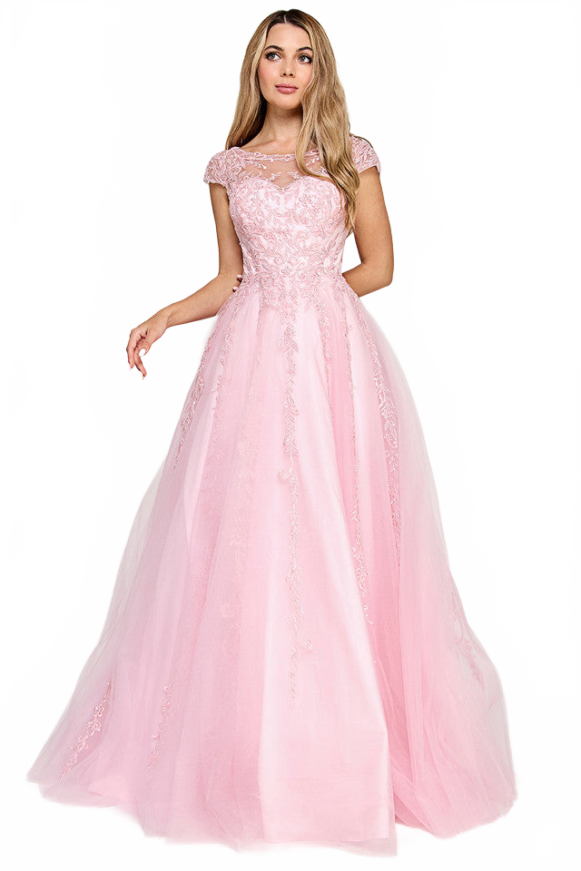 Embroidered Tulle A-Line Gown with Illusion Neckline and Lace-Up Back By Lenovia 8349