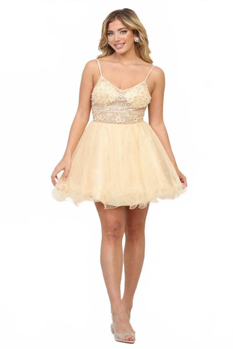 Dama Dresses for Quinceanera in Champagne Style MQ2067 Quince Outfit