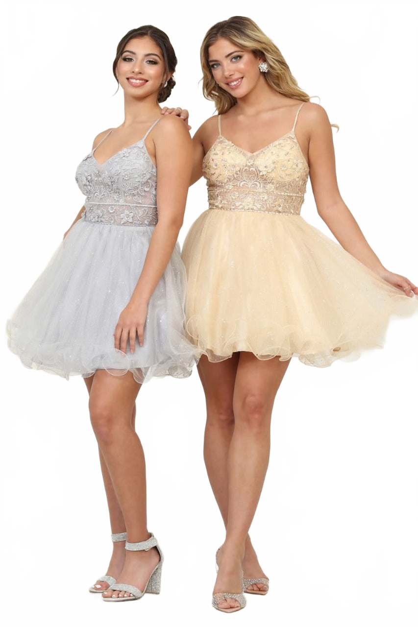 Dama Dresses for Quinceanera in Silver Style MQ2067 Quince Outfit