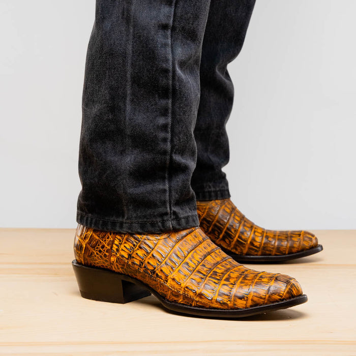 Mustard brown Marco Di Milano Phoenix cowboy boots. Round toe, crafted from caiman crocodile leather with a textured, slightly glossy finish. Low, stacked heel, snug fit.
