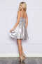 Dama Dresses for Quinceanera in Silver Style 9248 Quince Outfit