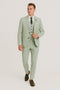 Sage Men Light Green Suit