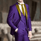 Purple And Gold Suit - AlbertoNardoniStore