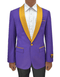 Purple And Gold Suit - AlbertoNardoniStore