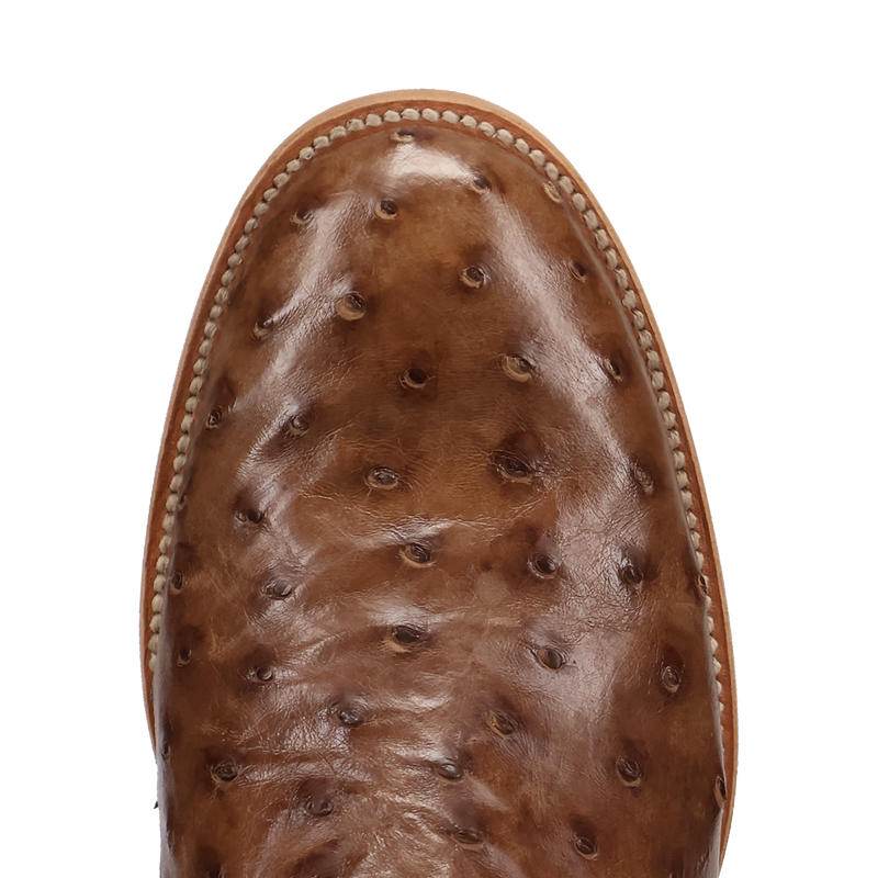 Dan Post Ardor Ostrich Boot - Full Quill Leather