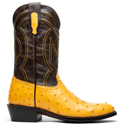 Yellow ostrich vamp, brown embroidered shaft, and low block heel define the Marco Di Milano Savannah Buttercup cowboy boots. Textured design, characteristic of ostrich leather.
