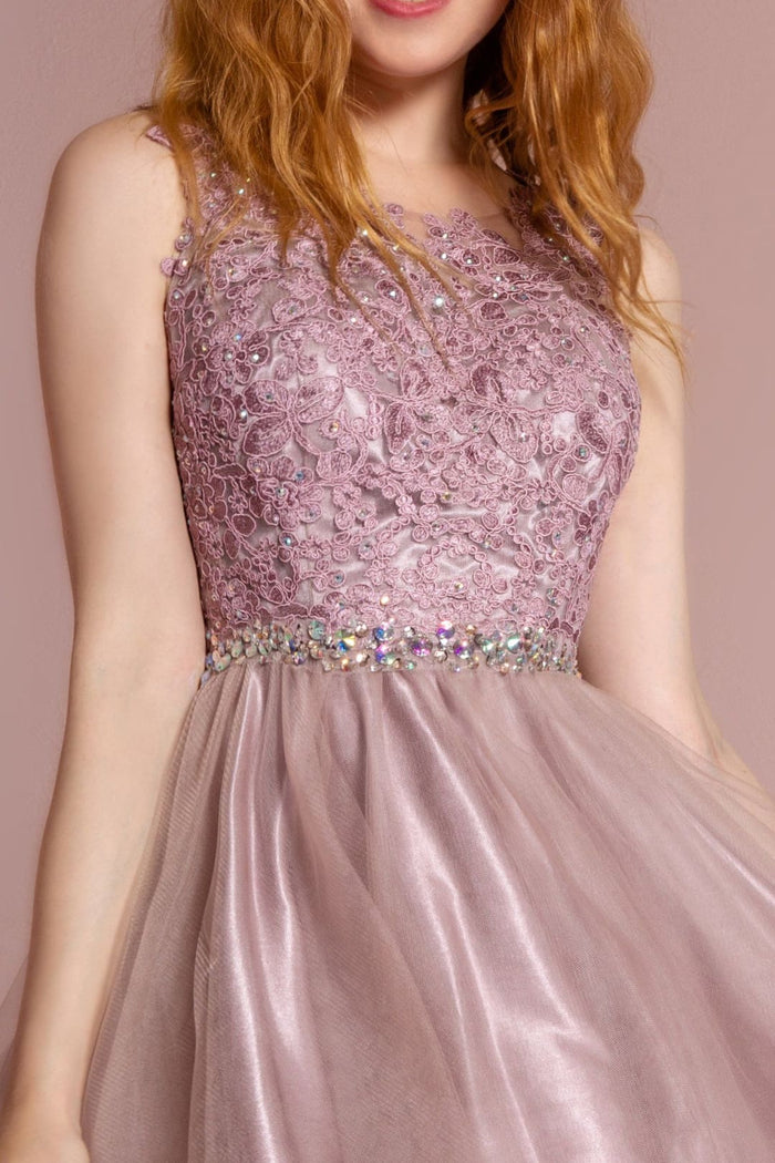 Short Sleeveless Lace Bodice Dress by Elizabeth K GS2375