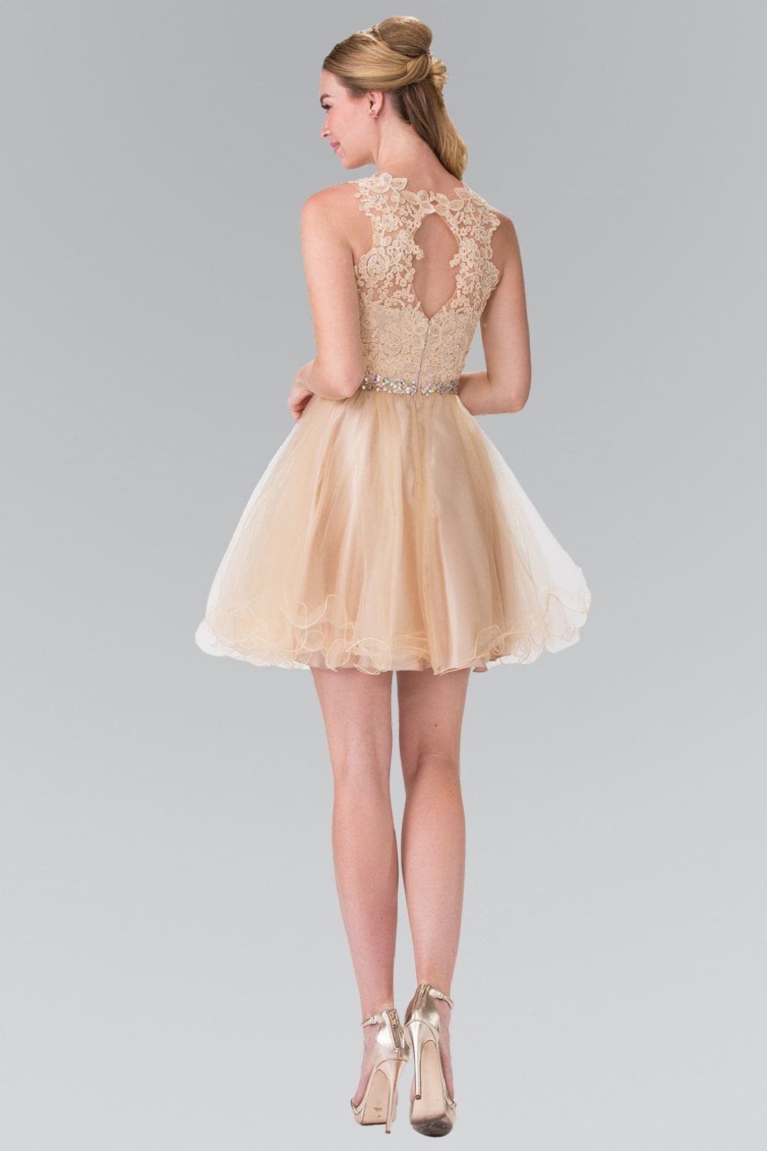 Short Sleeveless Lace Bodice Dress by Elizabeth K GS2375