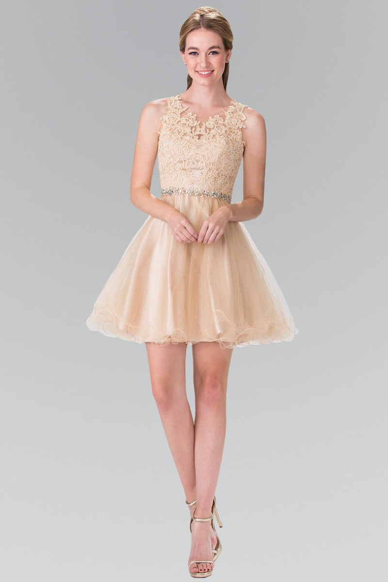Short Sleeveless Lace Bodice Dress by Elizabeth K GS2375