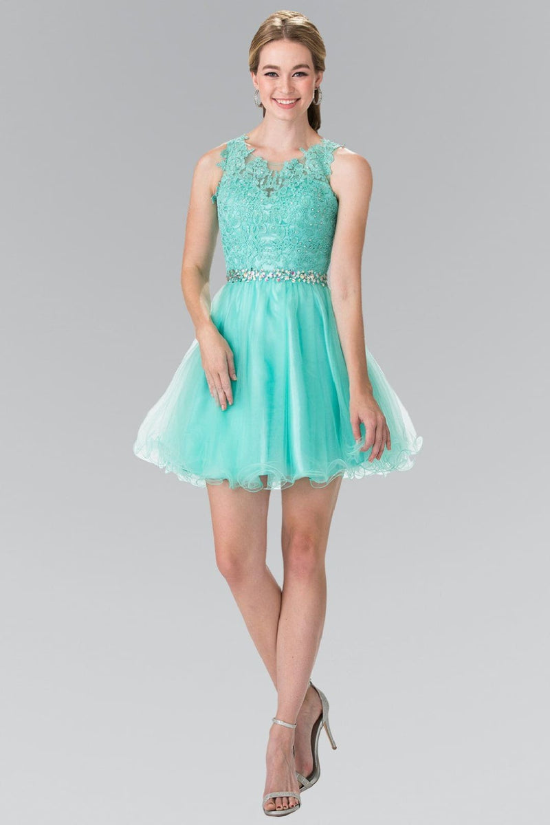 Short Sleeveless Lace Bodice Dress by Elizabeth K GS2375