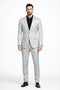 Mens Paisley Pattern Suit in Silver – Slim Fit Formal 2-Piece Set