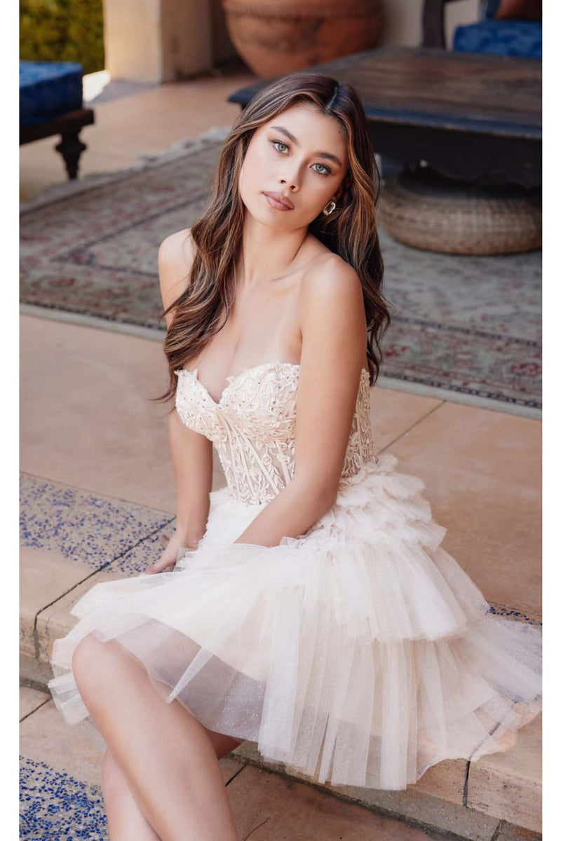 Dama Dresses for Quinceanera in Champagne Style JT918S Quince Outfit