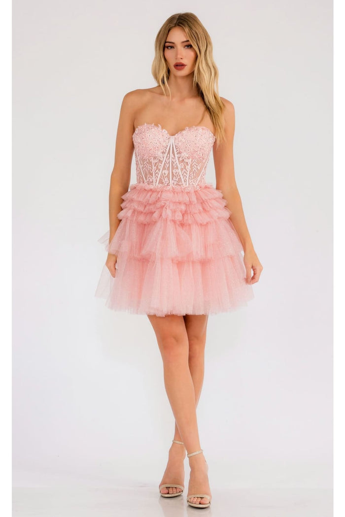 Dama Dresses for Quinceanera in Blush Style JT918S Quince Outfit