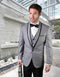 Grey Groom Suit - Mens Gray Wedding Suit - AlbertoNardoniStore