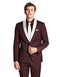 Men's Dark Navy Blue Shawl Lapel Burgundy/White ~ Wine ~ Maroon Color Tuxed - AlbertoNardoniStore