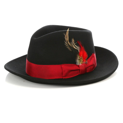 Mens Wholesale Fedora Hat Minimum 20PC Hat To Get this price Call to Place order - AlbertoNardoniStore