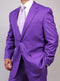 Two Button Purple Suit - AlbertoNardoniStore